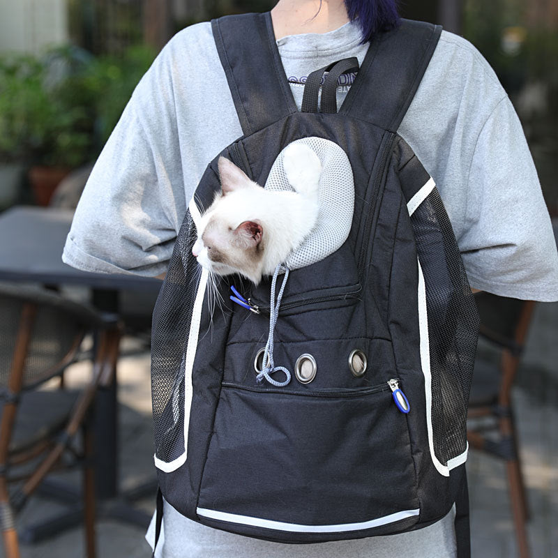 Sac à bandoulière double portable pour chat et chien