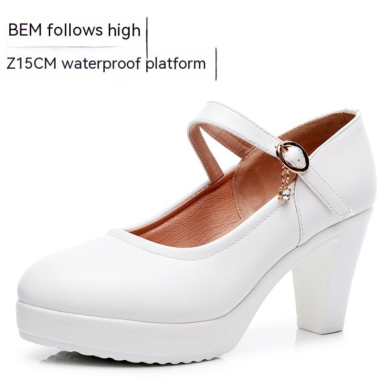 Round Toe Shallow Mouth High Heel Thick Bottom Waterproof Platform Shoes