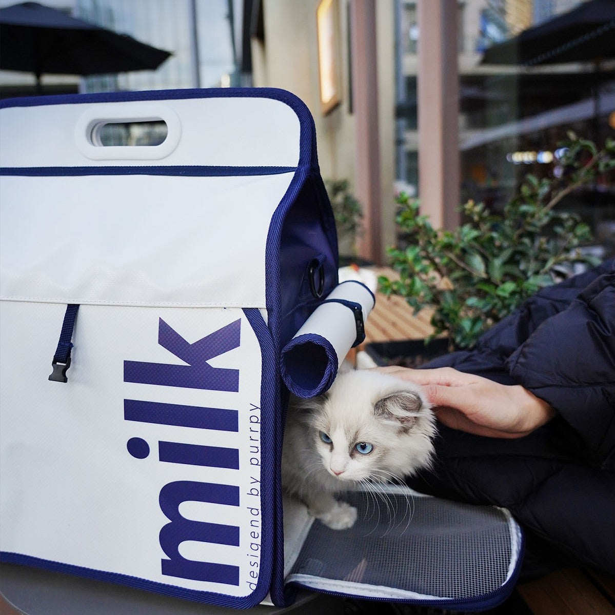 La bolsa para gatos es portátil y transpirable en verano