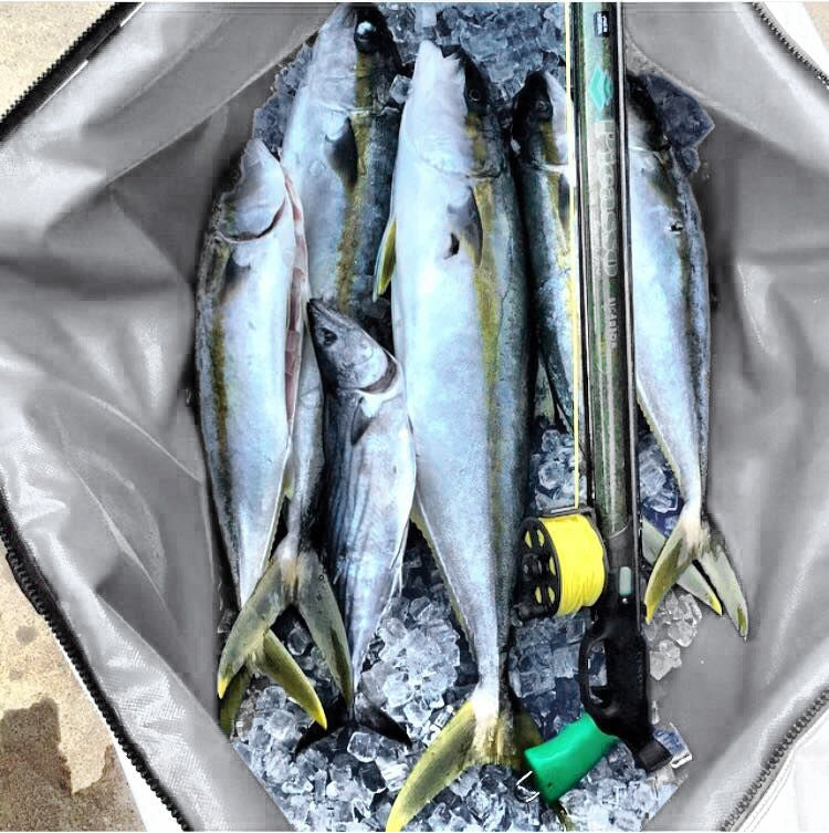 Bolsa de pesca impermeable, multifuncional y gruesa de EVA