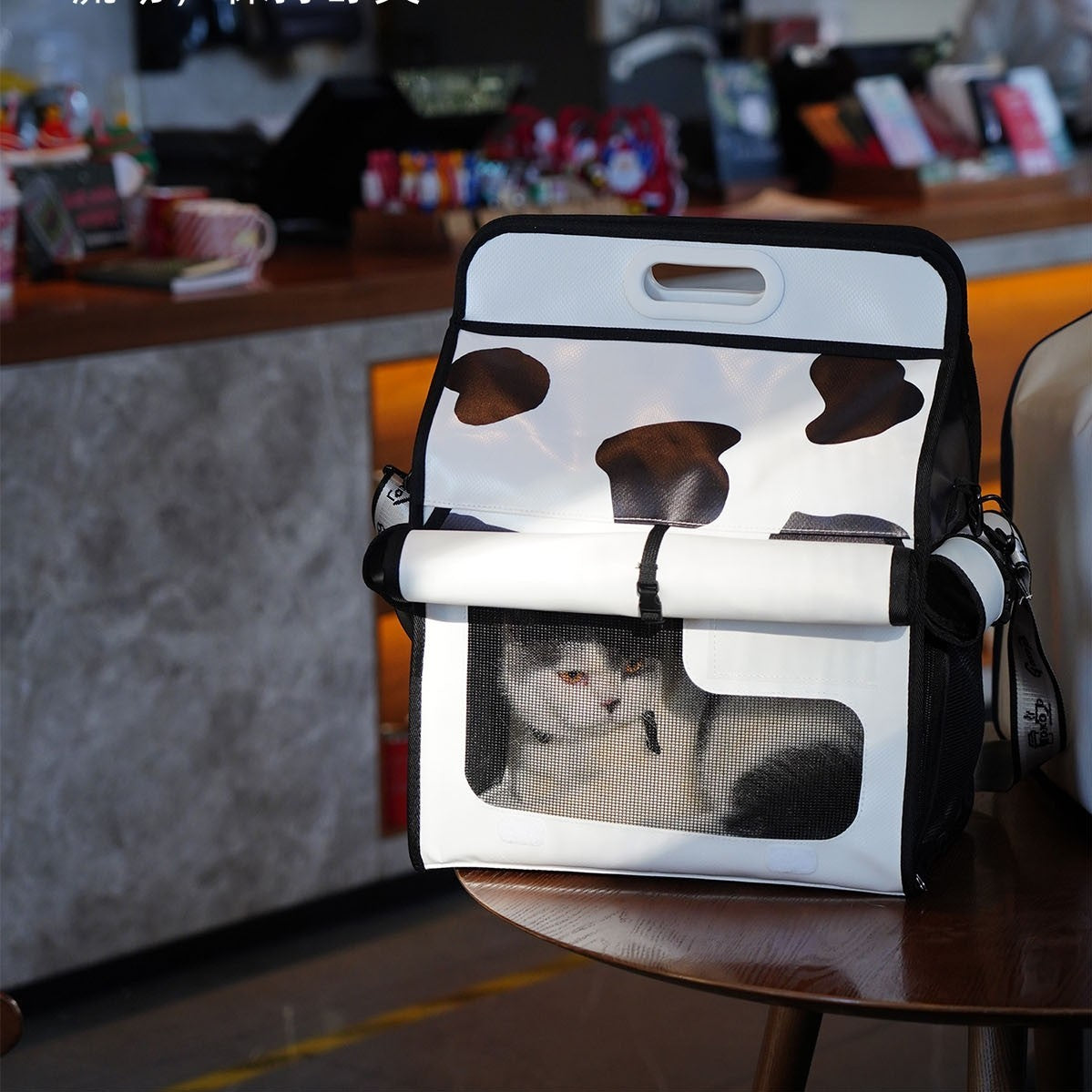 Le sac pour chat est portable et respirant en été