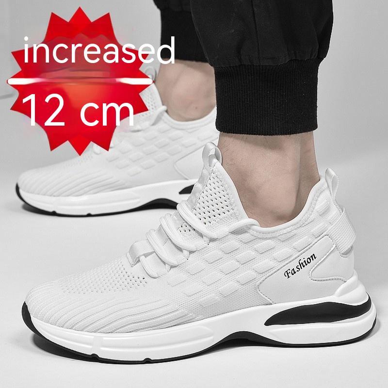 Augmentation intérieure de 10 cm 8 cm 6 cm Chaussures de sport en maille pour hommes